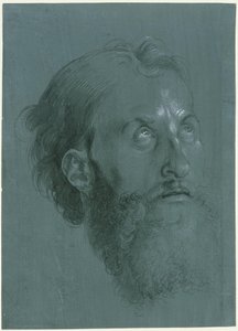 Head of an Apostle Turned to the Right by Albrecht Dürer