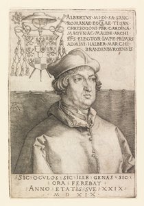 Portrait of Albrecht of Brandenburg
