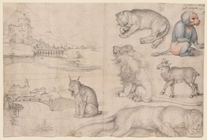 Sketches of Animals and Landscapes by Albrecht Dürer