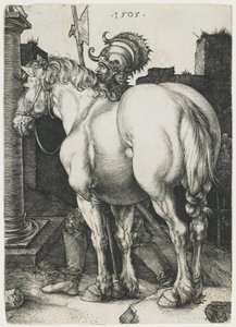 The Great Horse by Albrecht Dürer