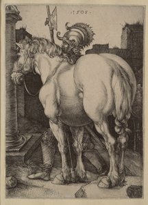 The Large Horse by Albrecht Dürer