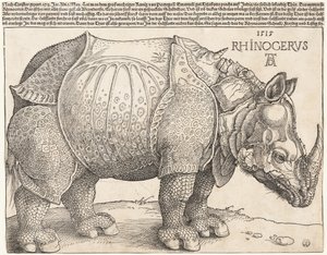 The Rhinoceros by Albrecht Dürer