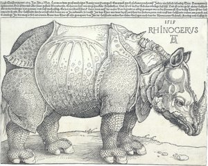 The Rhinoceros, 1515 by Albrecht Dürer