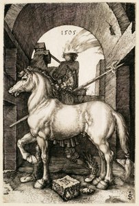 The Small Horse by Albrecht Dürer