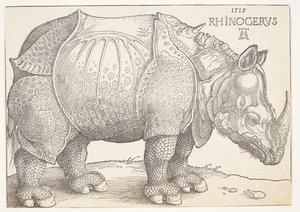 The rhinoceros by Albrecht Dürer
