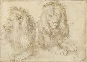 Two Seated Lions, 1521 by Albrecht Dürer