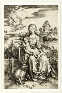 Virgin and Child with the Monkey by Albrecht Dürer
