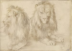 Two Reclining Lions by Albrecht Dürer