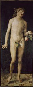 Adam