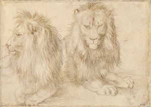 Two Seated Lions by Albrecht Dürer