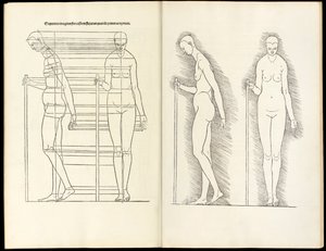 Female with staff, anatomical woodcut from Hierinn sind begriffen vier Bücher von menschlicher Proportion, 1528