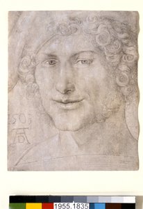 Head of a Young Man