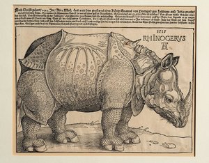 The Rhinoceros by Albrecht Dürer or Duerer