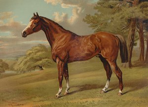 Stilton A Hunter by Aldfred Sheldon Williams