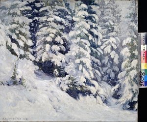 Forest in Winter
