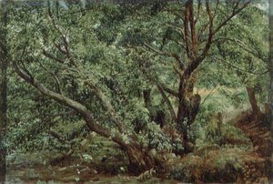 Trees by a Stream