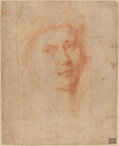 Head of a Youth