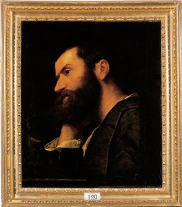 Portrait of the poet Pietro Aretino, bust-length, resting his head on his right hand by a ledge with a plant