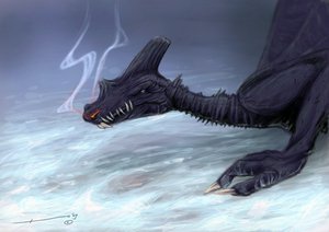 A Dragon in the Snow