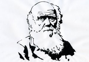 Portrait of Charles Darwin by Alessandro Lonati