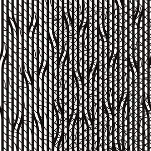#25, 2017