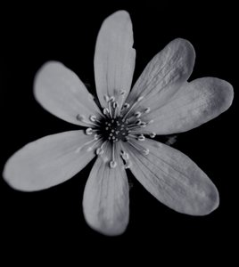 Untitled, 2019 by Alex Caminker