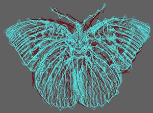 Butterfly 8
