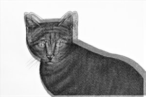 Electric Cat