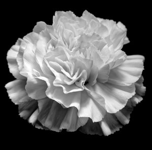 Natural Geometry II