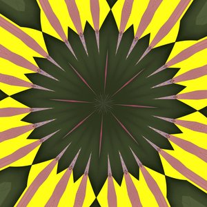 Sunflower by Alex Caminker