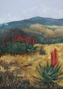 Red Aloes Desert Hills by Alex Cornell