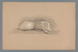 Plaster Model of a Hand by Alexander Cranendoncq