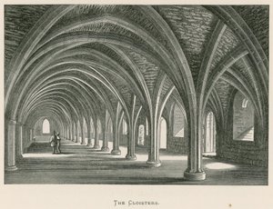 Fountains Abbey, The Cloisters