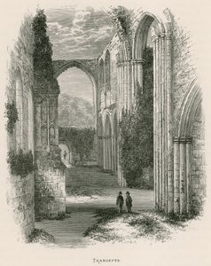 Furness Abbey, Transepts by Alexander Francis Lydon
