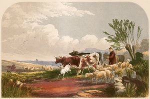 Illustration for Goldsmith