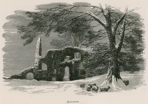 Kirkstall Abbey, Kitchen