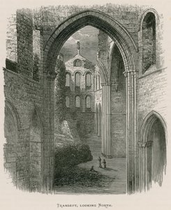 Kirkstall Abbey, Transept, Looking North by Alexander Francis Lydon