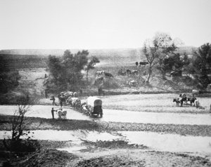 Covered Wagon crossing Tecolate Creek, New Mexico by Alexander Gardner