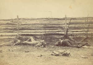 View in the Field, On the West Side of the Hagerstown Road, After the Battle of Antietam, 1862 by Alexander Gardner