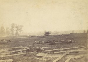 View on the Battlefield of Antietam, September 1862 by Alexander Gardner