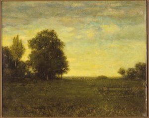 A meadow with trees