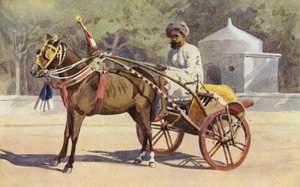 A Benares Ekka by Alexander Henry Hallam Murray