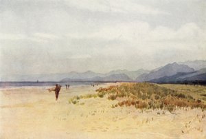 The Sea-Coast North of Viareggio
