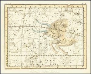 1822 - Taurus by Alexander Jamieson