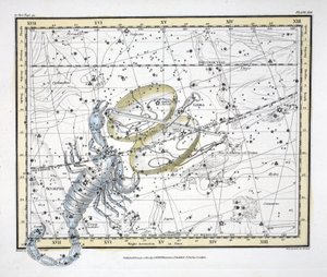 The Constellations (Plate XIX) Libra and Scorpio by Alexander Jamieson
