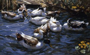 Ducks in the Reeds under the Boughs