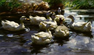 A. Koester, Ducks in the Pond