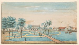 View of the Sugar Plantation Catharina Sophia