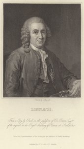 Linnaeus