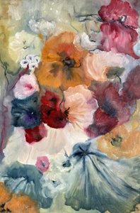 Colorful Poppies Bloom by Alexandra Higgins